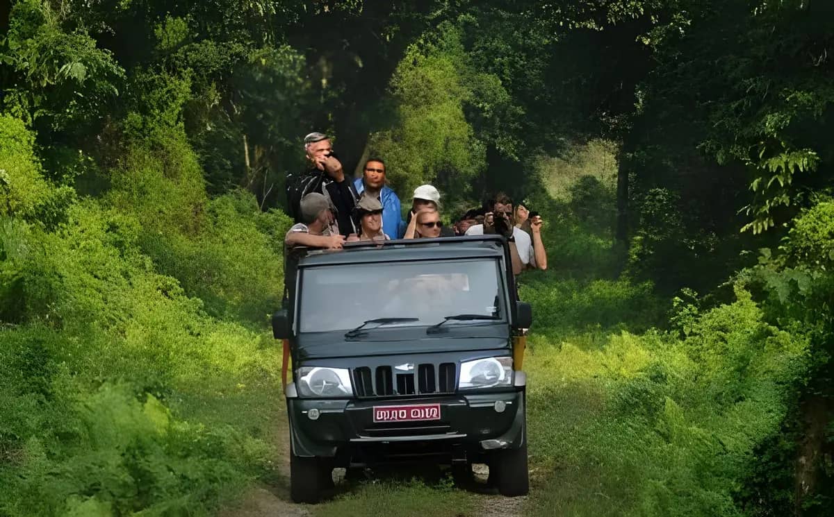 Jeep Safari – Half Day