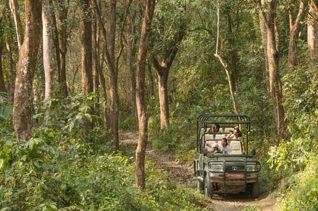 Jeep Safari – Full Day (Tiger Country)
